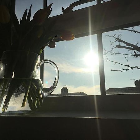 Brighton Boutique Garden Studio With Free Parking Ngoại thất bức ảnh