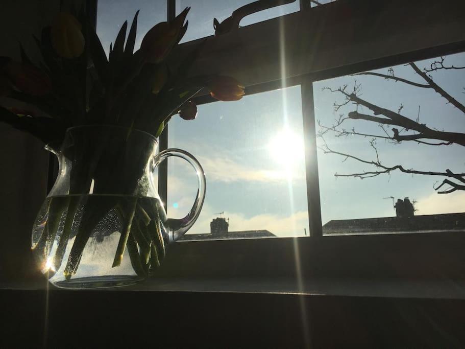 Brighton Boutique Garden Studio With Free Parking Ngoại thất bức ảnh